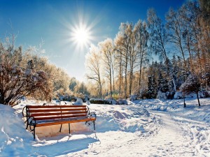 Sol brillando en un parque cubierto de nieve