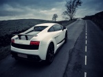 Lamborghini blanco en una carretera solitaria