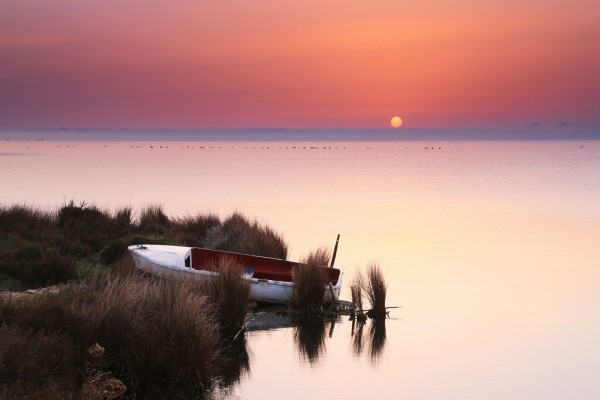 Bote junto al lago