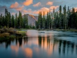 Árboles reflejados en un lago del Parque Nacional de Yosemite