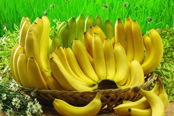 Hermosas bananas en una cesta
