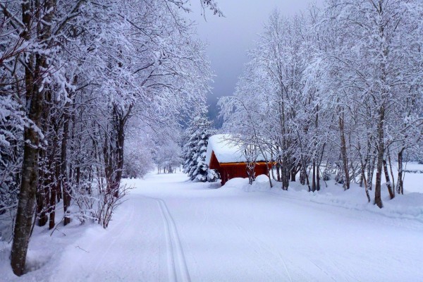 Cabaña roja cubierta de nieve