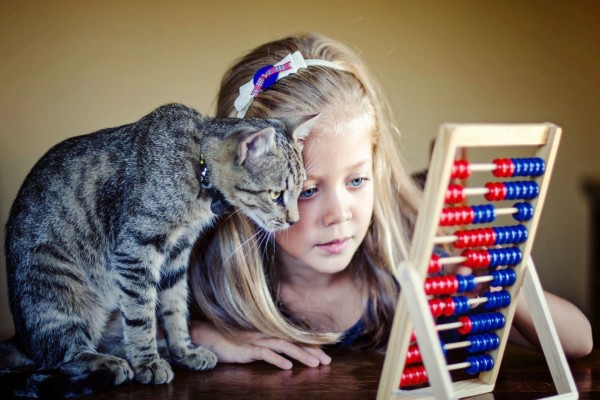 Niña y gato observando un ábaco