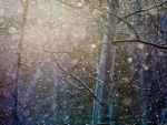 Suaves copos de nieve cayendo entre las ramas de los árboles