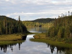 Lago rodeado por centenares de pinos