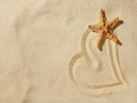 Estrella de mar sobre un corazón de arena