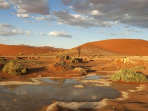 Postal: Charco en un desierto de arenas rojizas