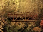 Puente oxidado entre los árboles