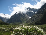 Hermoso paisaje del Parque Nacional de Fiordland (Nueva Zelanda)