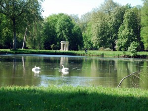 Cisnes en los jardines del Castillo de Chantilly (Francia)