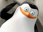 Dibujo animado de la película "Los Pingüinos de Madagascar"