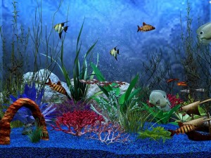 Peces coloridos en un acuario 3D