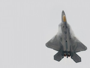 Postal: F-22 Raptor