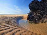 Moluscos en la roca de una playa