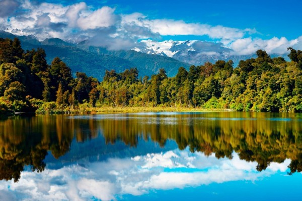 Cielo y árboles reflejados en el lago