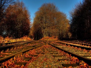Postal: Vías del ferrocarril en otoño