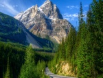Carretera en el Parque Nacional Yoho (Canadá)