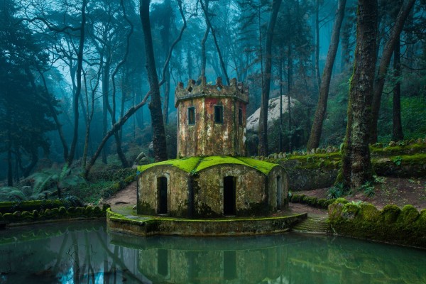 Torre en un bosque