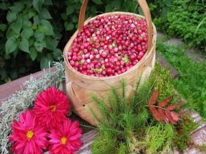 Flores junto a una cesta con arándanos rojos