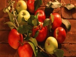 Manzanas rojas y verdes