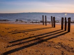 Pilares de madera en una playa de arena