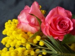 Ramo de rosas y mimosas