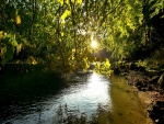 El sol brillando sobre un río