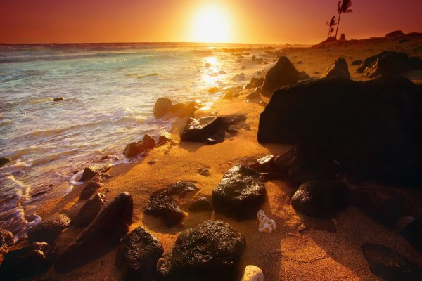 El sol del amanecer iluminando las piedras y arena de una playa