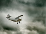Antonov An-2 volando en un día nublado