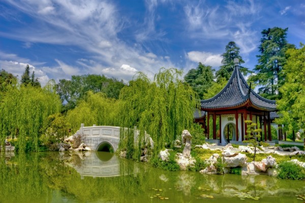 Espléndido jardín chino tradicional