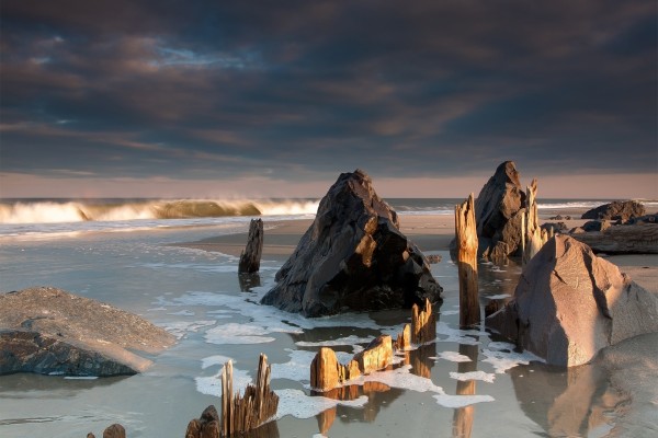 Rocas y troncos en la orilla de una playa