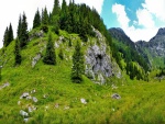 El verde del verano en el valle y montañas