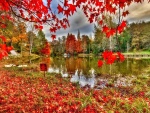Alfombra de hojas rojas junto al lago