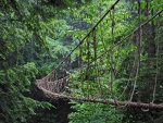 Frágil puente colgante en un bosque