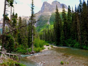 Postal: Río, montañas y árboles en el Parque Nacional de los Glaciares