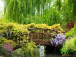 Un bonito puente cubierto de vegetación
