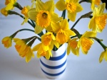 Narcisos amarillos en un florero