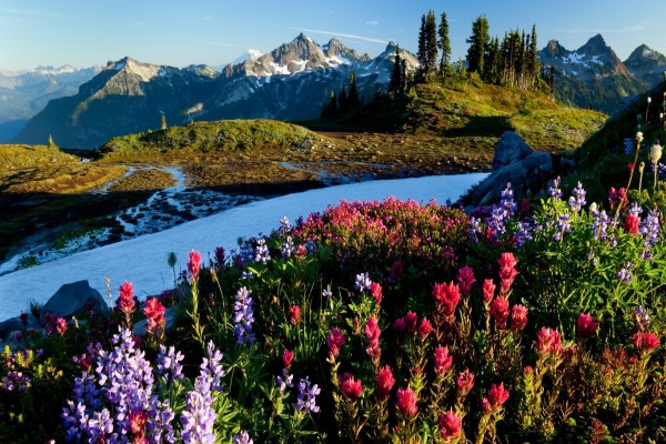 Restos de nieve en primavera