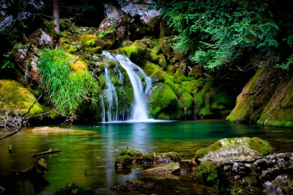 Agua de una cascada bañando las rocas verdes