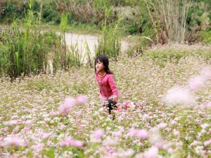 Niñas jugando en un campo de flores