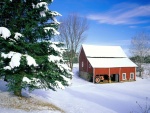 Casa de campo cubierta de nieve
