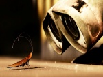 Wall-E observando a una cucaracha