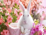 Conejo blanco entre flores rosas