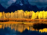 Árboles amarillos entre las montañas y un lago