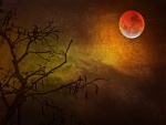 Imagen de una luna roja en el cielo