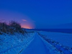 Camino en una noche de invierno