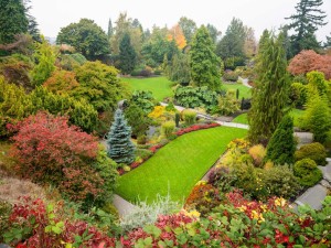 Bonito jardín con los colores del otoño