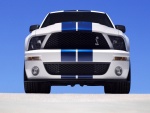 Frontal de un Ford Mustang Shelby GT 500