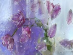 Ramo de tulipanes rosas detrás de una ventana con gotas de lluvia