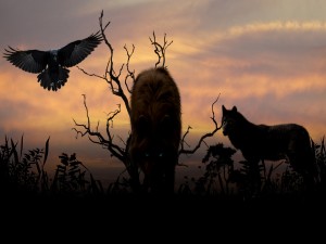 Lobos y un cuervo acechando al anochecer